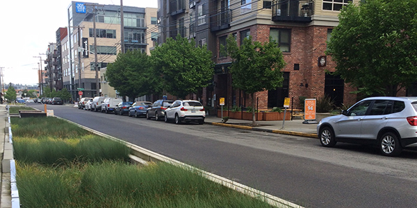 Seattle: making the most of green infrastructure investments