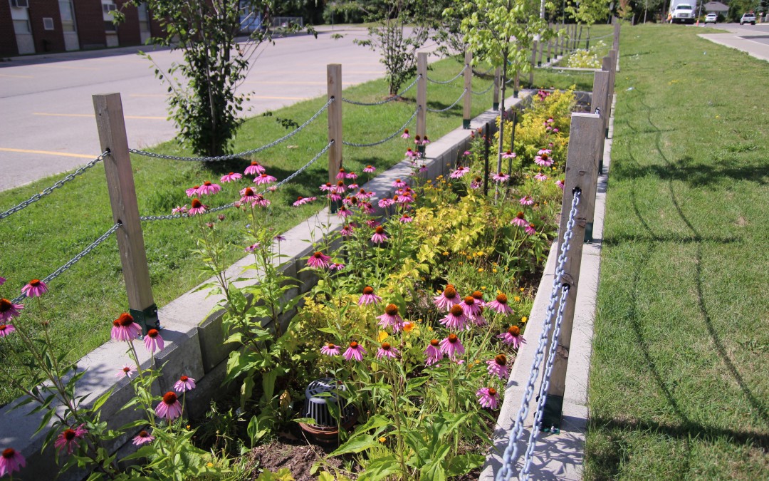 Roads and runoff—using green infrastructure to manage stormwater from roads