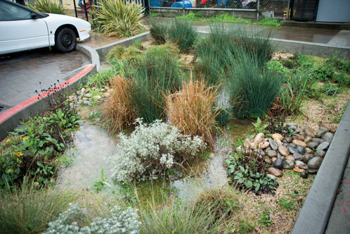Incenting Green Infrastructure for Stormwater Management